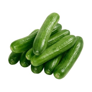 Cucumber Kasa